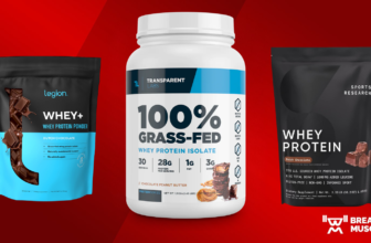 Greatest Whey Protein Powders of 2025