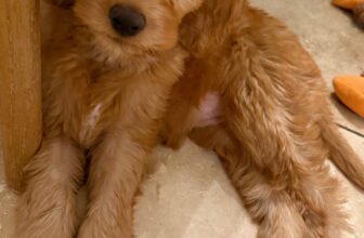 1.9 Friday Faves – The Fitnessista